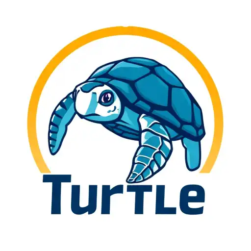 Evolução dos Jogos: A Ascensão da Turtle PG